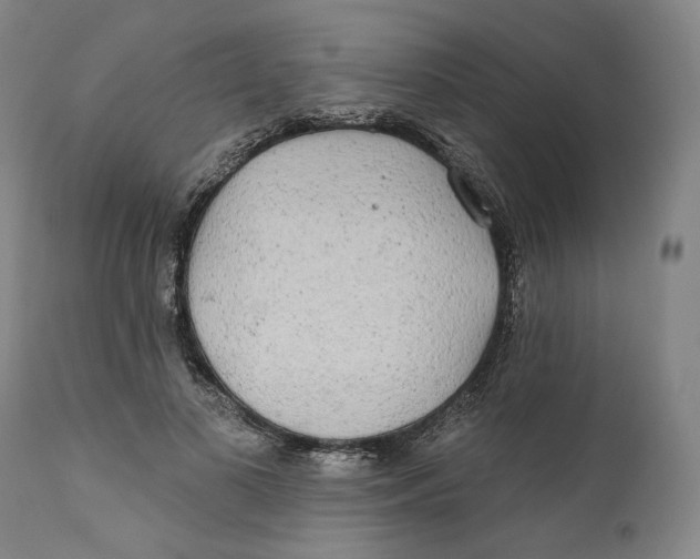 X0000110760693200907061055