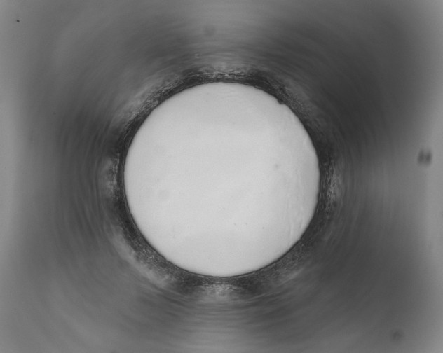 X0000110760695200907061055