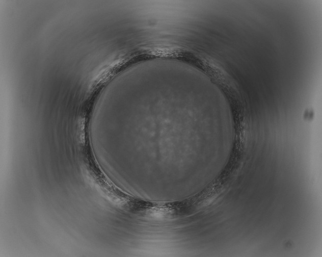 X0000110760696200907061055