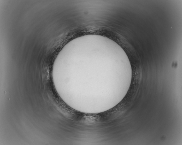 X0000110760703200907061055
