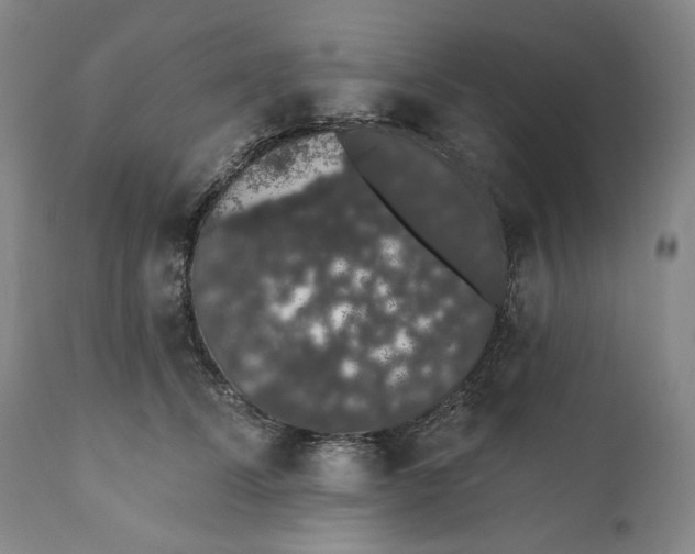 X0000110760708200907061055