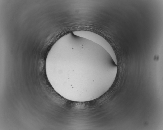 X0000110760709200907061055