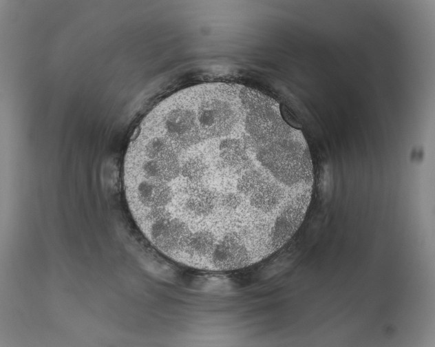 X0000110760715200907061055