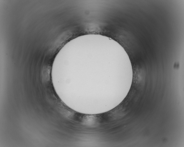 X0000110760717200907061055