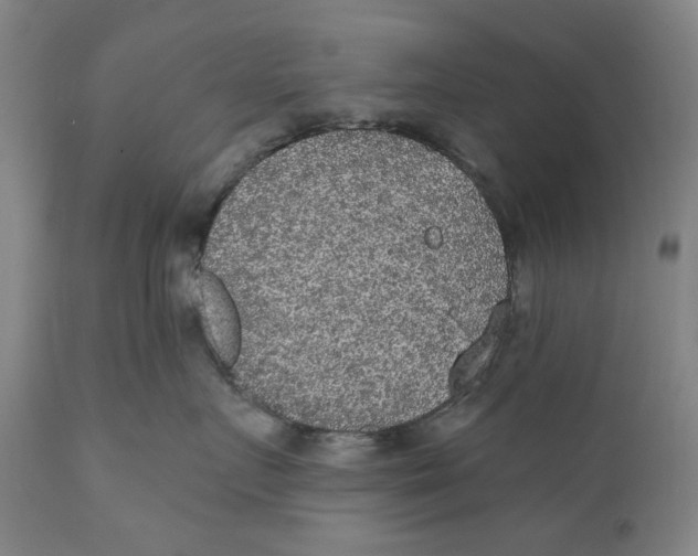X0000110760719200907061055