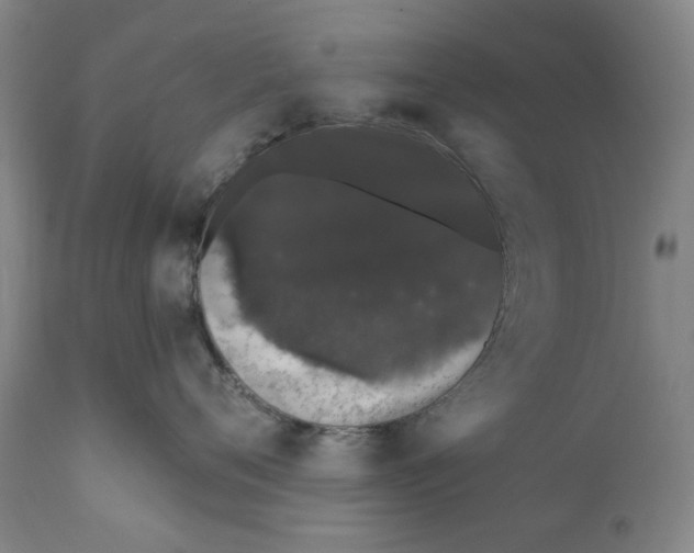 X0000110760720200907061055