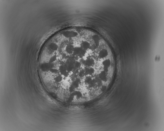 X0000110760721200907061054