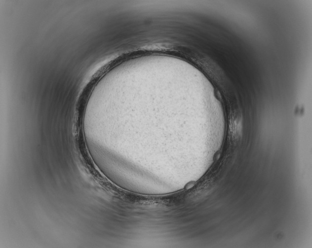 X0000110760724200907061054