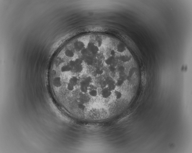 X0000110760725200907061054