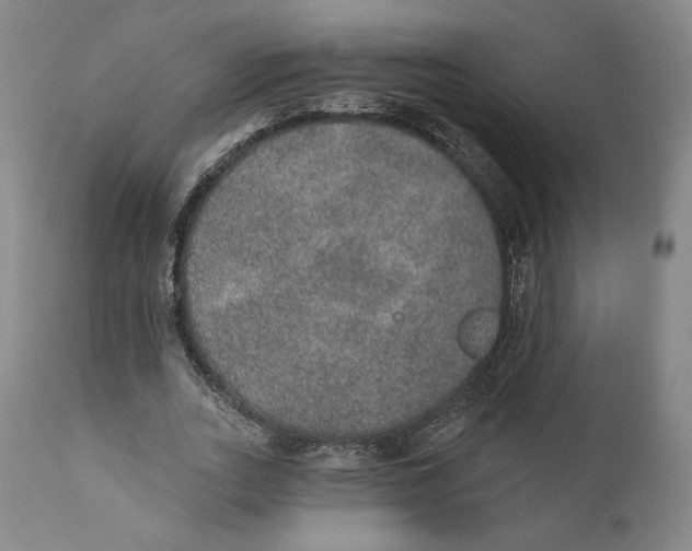 X0000110760727200907061054