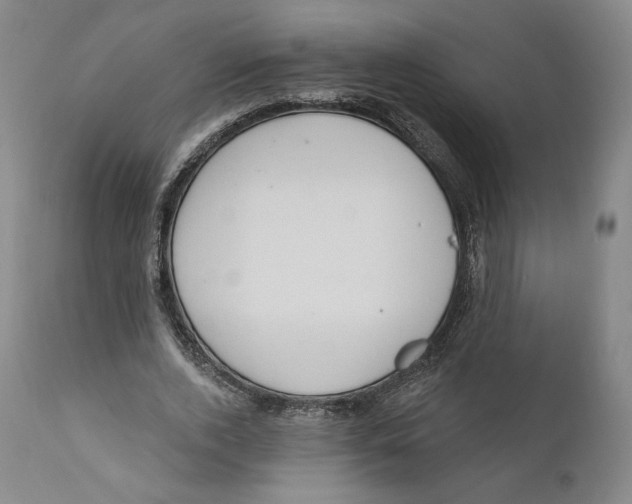 X0000110760728200907061054