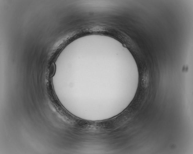 X0000110760732200907061054