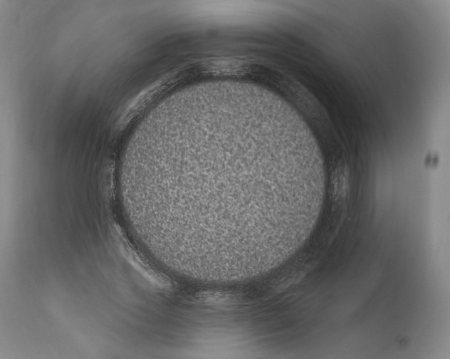 X0000110760733200907061054
