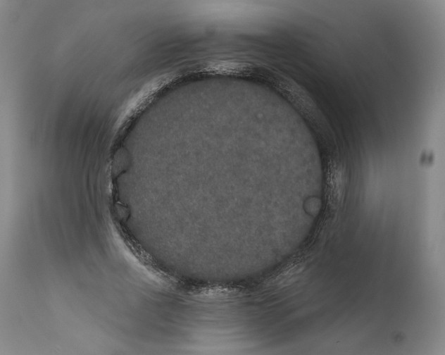 X0000110760734200907061054