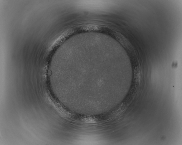 X0000110760735200907061054