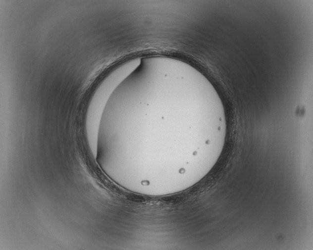 X0000110760736200907061054