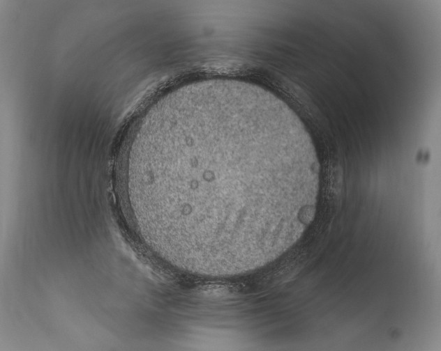X0000110760738200907061054