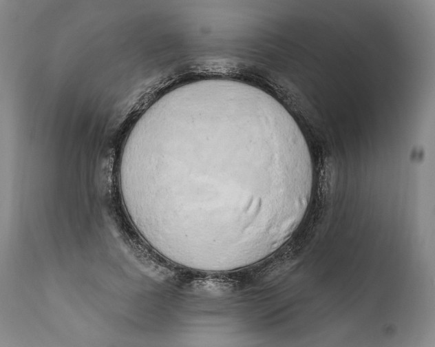 X0000110760739200907061054