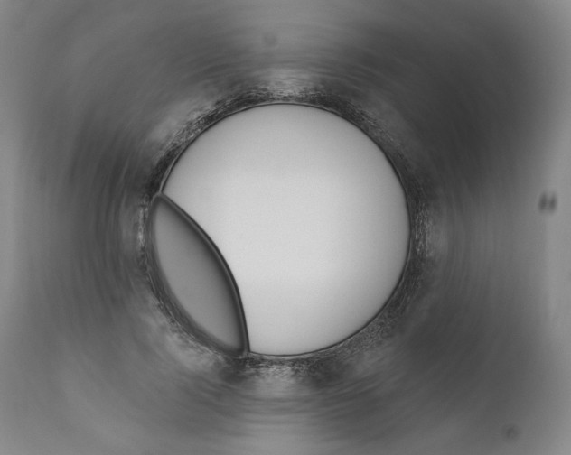 X0000110760740200907061054