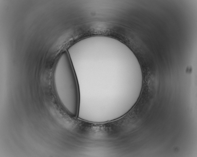 X0000110760744200907061054