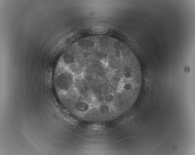 X0000110760745200907061054