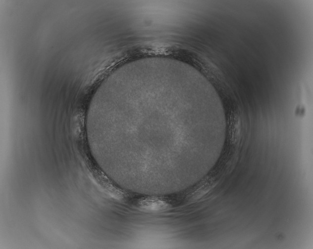 X0000110760747200907061054