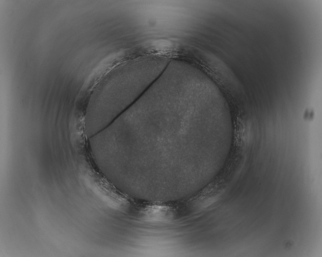 X0000110760748200907061054