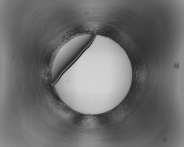 X0000110760750200907061054