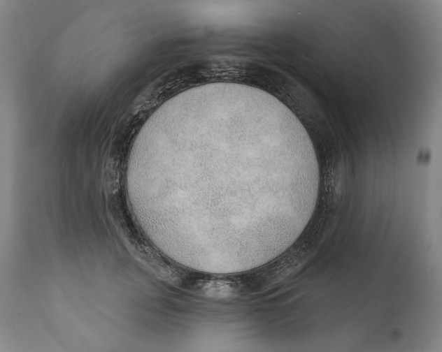 X0000110760751200907061054