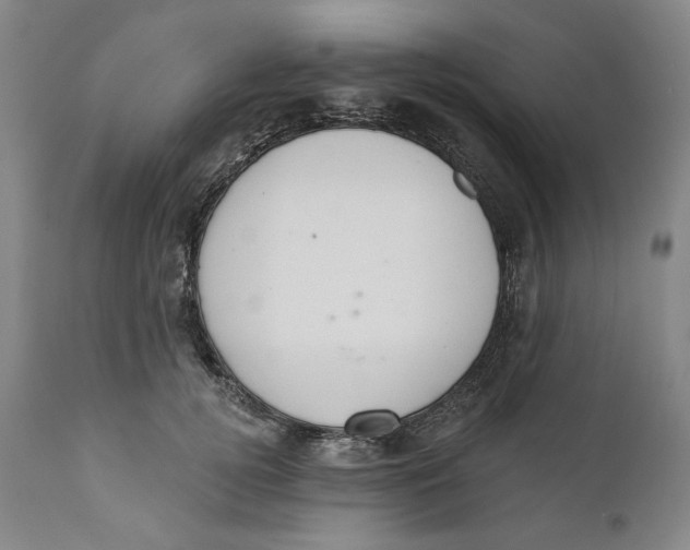 X0000110760752200907061054