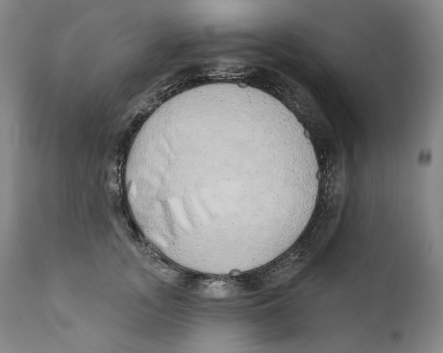 X0000110760755200907061054