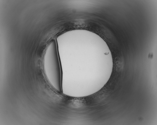 X0000110760756200907061054