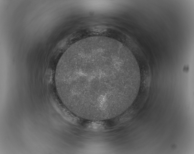 X0000110760758200907061055