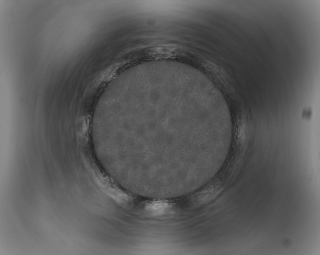 X0000110760759200907061055