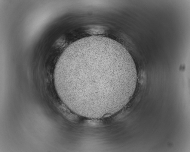 X0000110760763200907061055