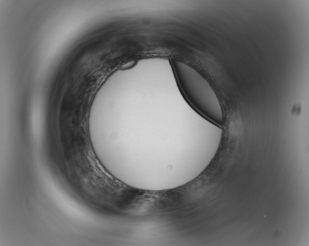 X0000110760764200907061055
