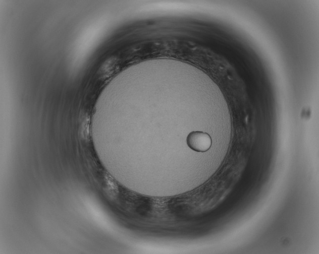 X0000110760766200907061055
