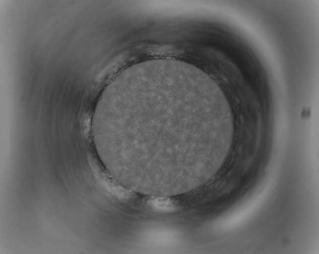 X0000110760767200907061055
