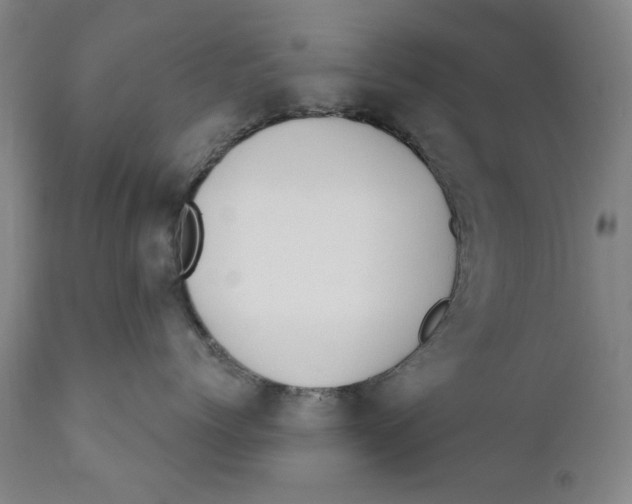 X0000110760768200907061055
