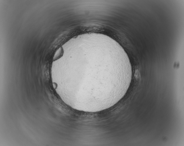 X0000110760771200907061054