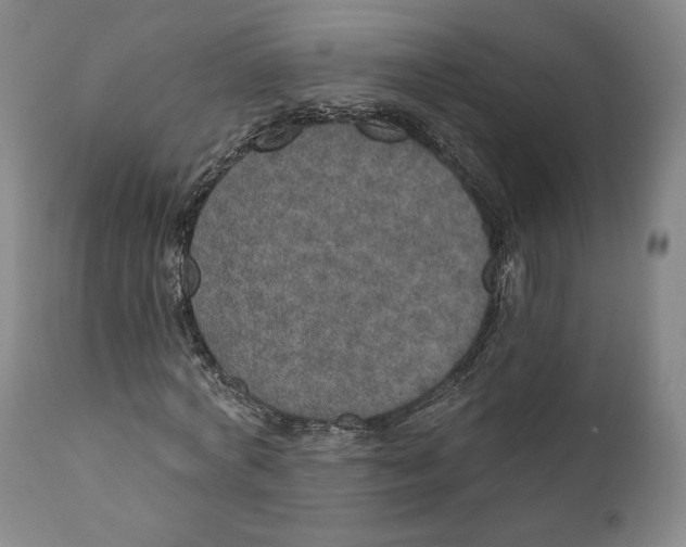 X0000110760772200907061054
