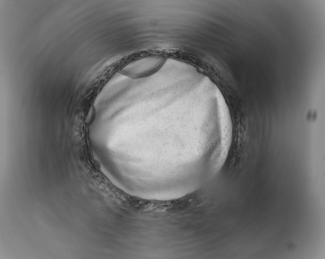 X0000110760773200907061054