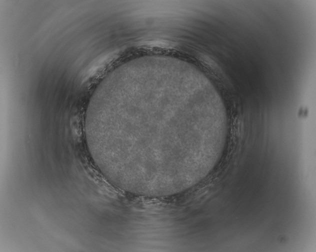 X0000110760774200907061054