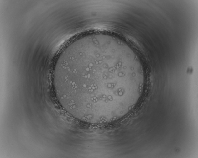 X0000110760776200907061054