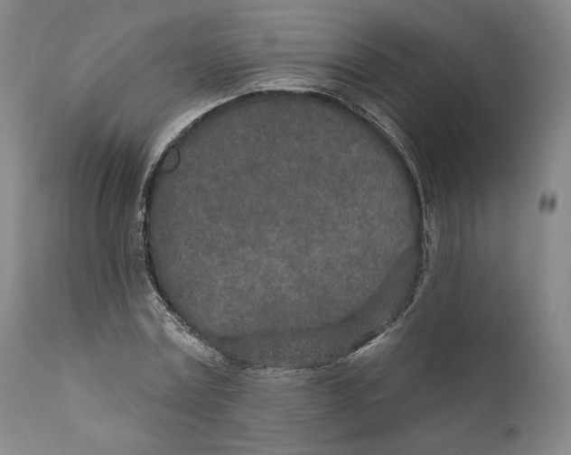 X0000110760779200907061054