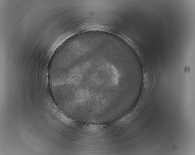X0000110760782200907061054