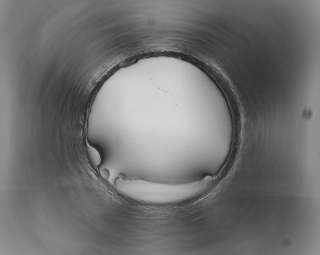 X0000110760785200907061054