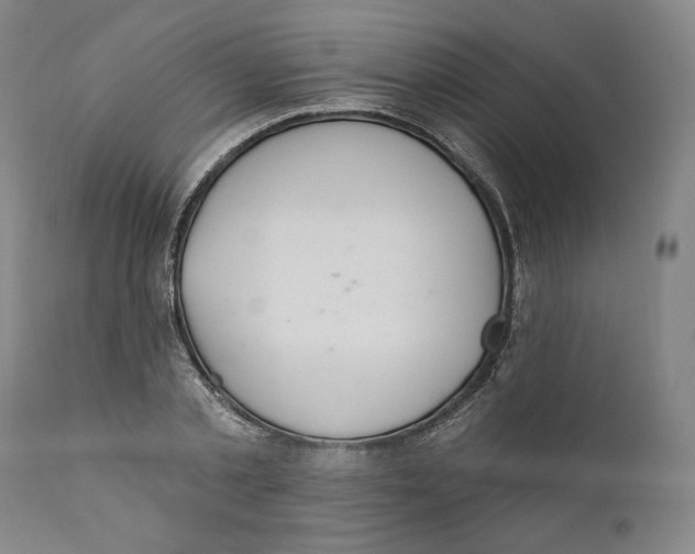 X0000110760789200907061054