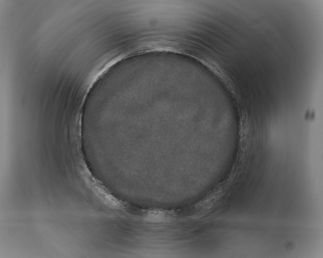 X0000110760790200907061054