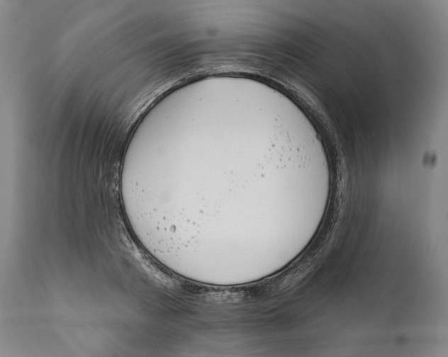 X0000110760793200907061053